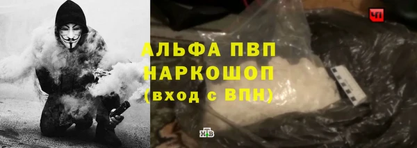 гашик Алзамай