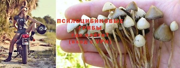 гашик Алзамай