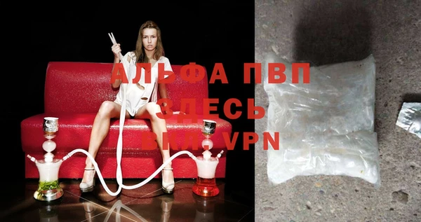 спиды Инсар