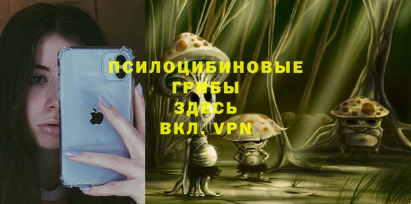гашик Алзамай