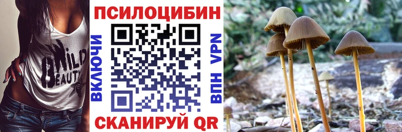 Псилоцибиновые грибы Cubensis  что такое наркотик  Одинцово 