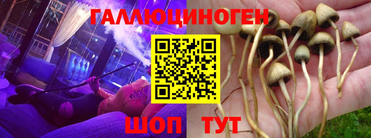 Псилоцибиновые грибы прущие грибы  Вход с VPN  Одинцово  Псилоцибиновые грибы GOLDEN TEACHER 